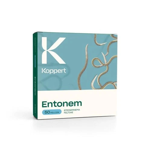 Entonem 50 Mill Steinernema feltiae Koppert 24h service
