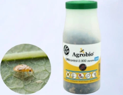 Oricontrol Cold / Plus NINFAS 2000 Agrobio 24h service